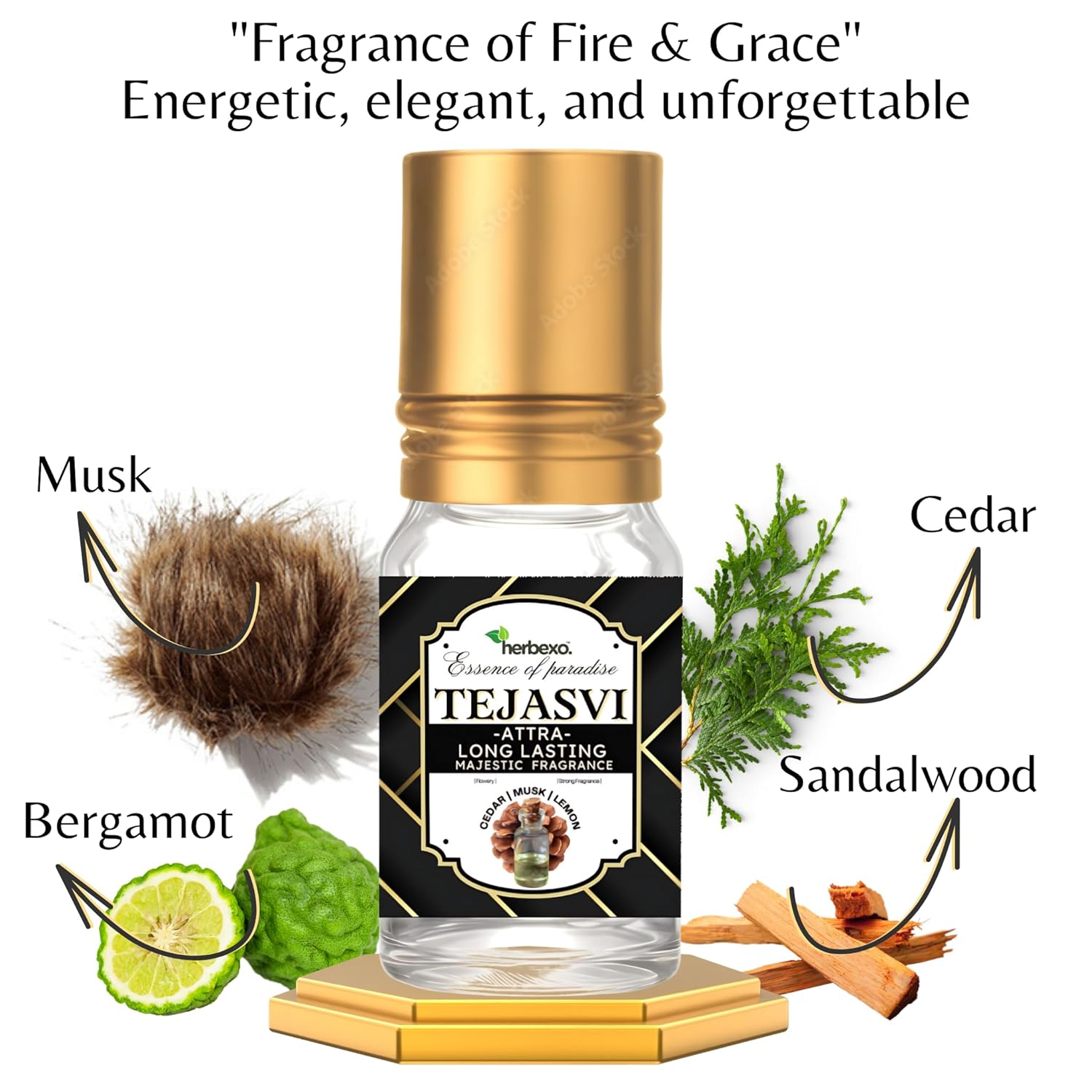 Tejasvi Attar for Men | Radiant Herbal Fragrance | Long-Lasting Alcohol-Free Perfume Oil | Natural Masculine Aroma | 6ml